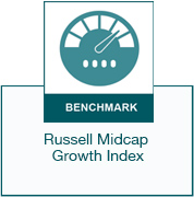 Benchmark - Russell Mid cap Growth Index