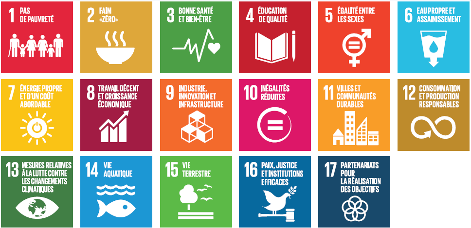 Objectifs de développement durable (ODD) : comment agir ?
