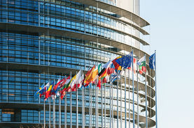 elezioni europee