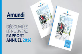 Rapport annuel 2016