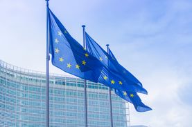 Avis financier - LMT - Amundi Immobilier