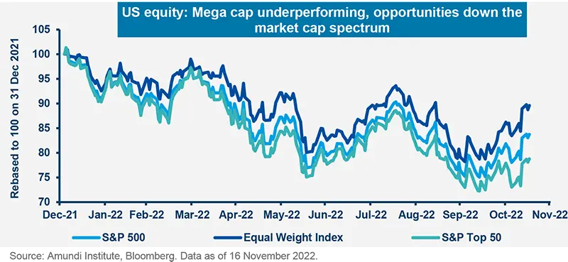 US equity: Mega cap underperforming, opportunities down the market cap spectrum