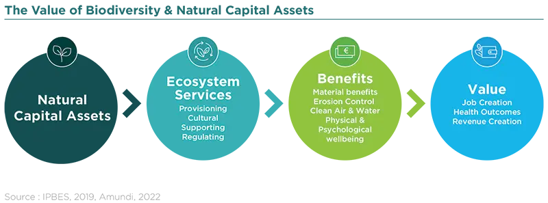 The Value of Biodiversity &amp; Natural Capital Assets