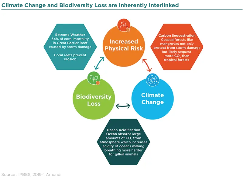 Climate Change and Biodiversity Loss are inherently interlinked