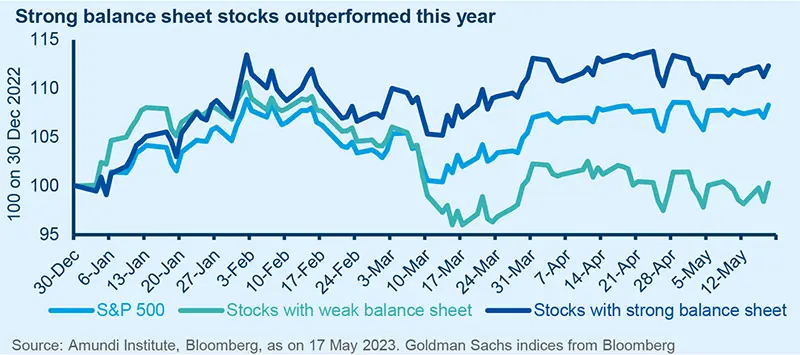 Strong balance sheet stocks outperformed this year