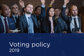 Discover Amundi's 2019 voting policy