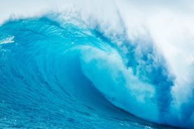 Actu Blue Economy