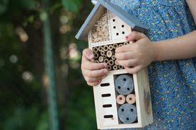 Développement durable - Du changement climatique à la biodiversité - 10/2021