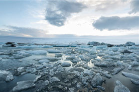 Urgence Climat 1