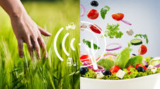 CP Food For Generations paneuro