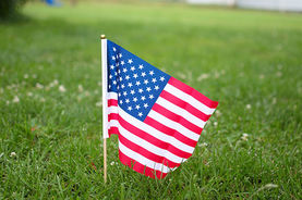 USA SRI