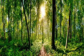 Amundi expands its range of cost-effective ESG ETF solutions
