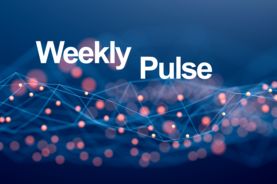 Pokemon Weekly pulse