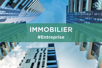Immo entreprise