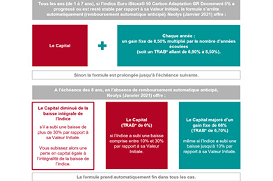 Tableau Néolys (Janvier 2021) Tableau Néolys (Janvier 2021)