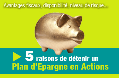 PEA banniere cochon doré