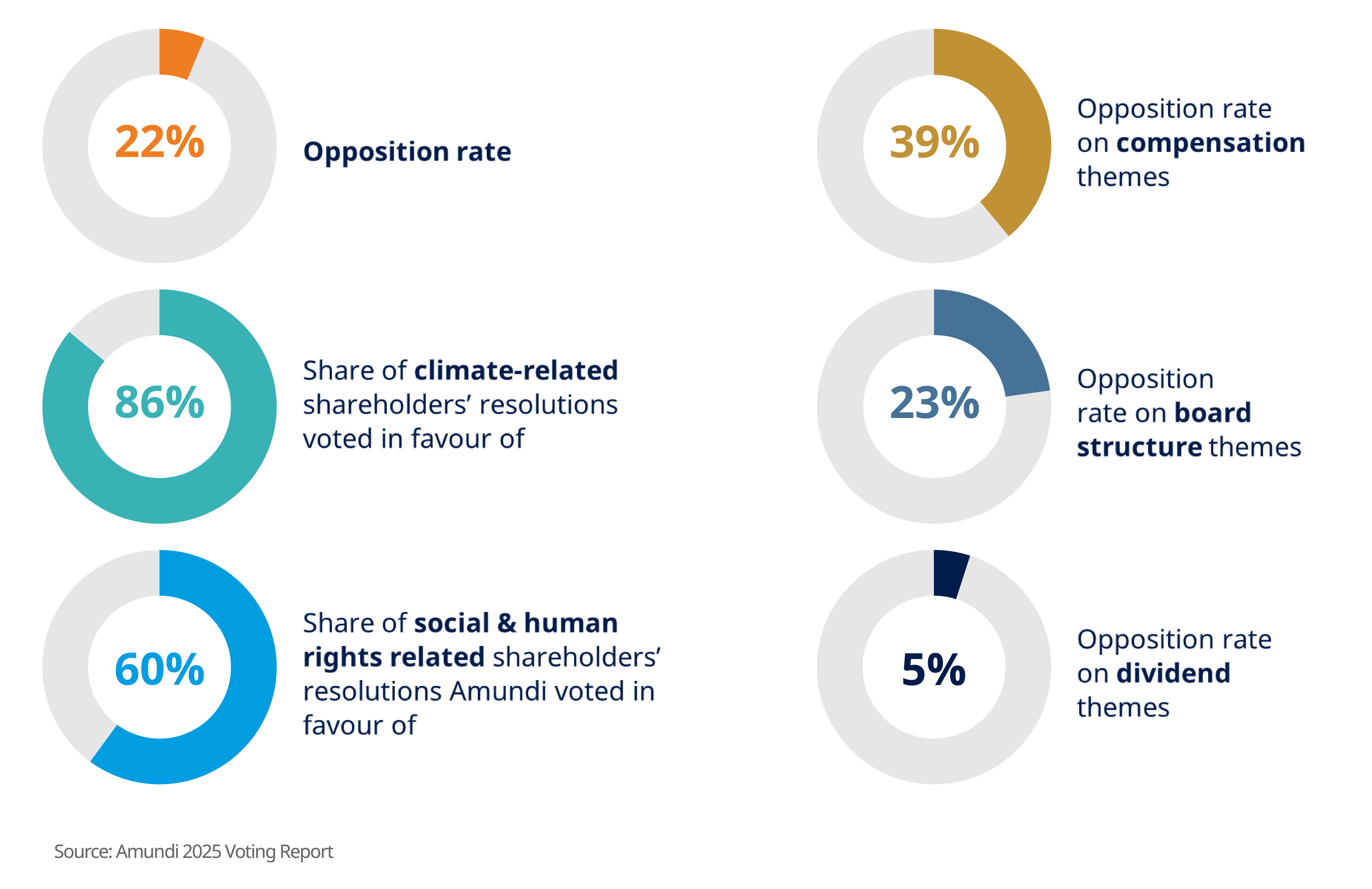 amundi 205 voting report results in progress circle charts format