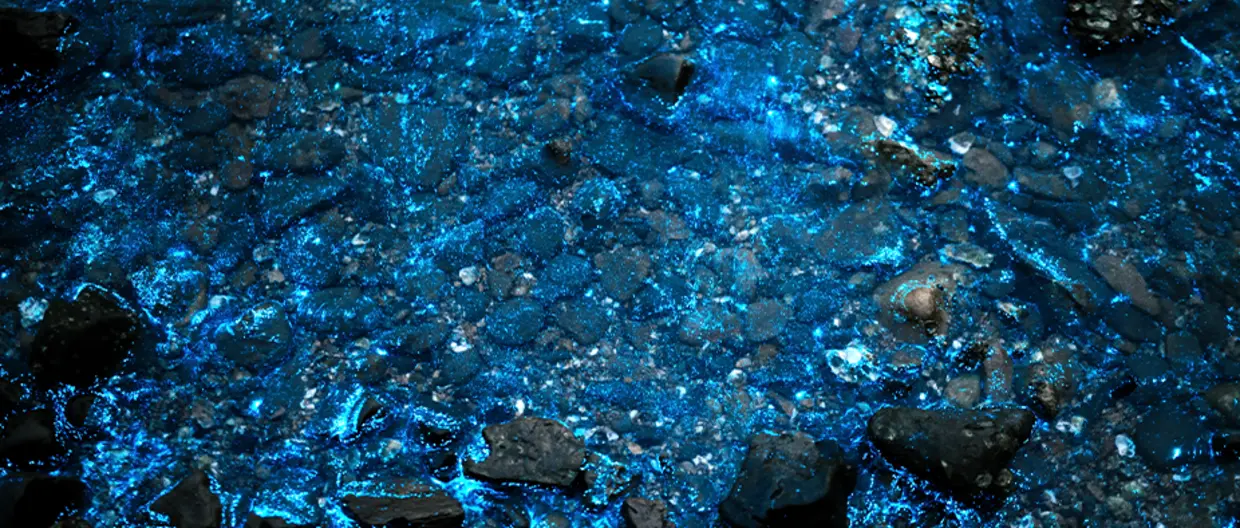 Blue light bioluminescence in the sea at night