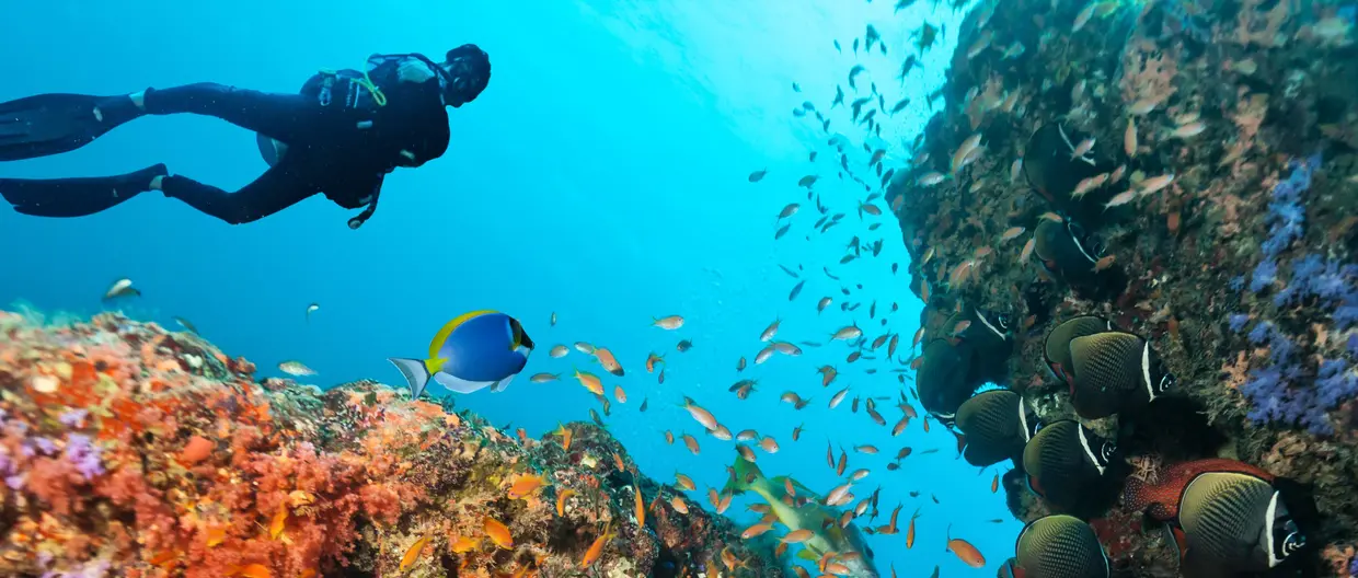 man scuba diving