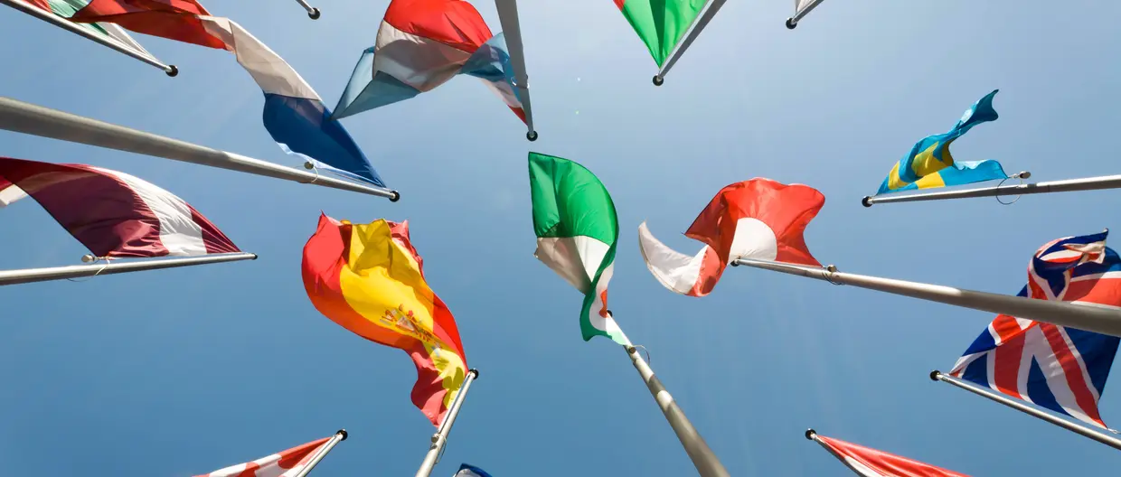 many flags