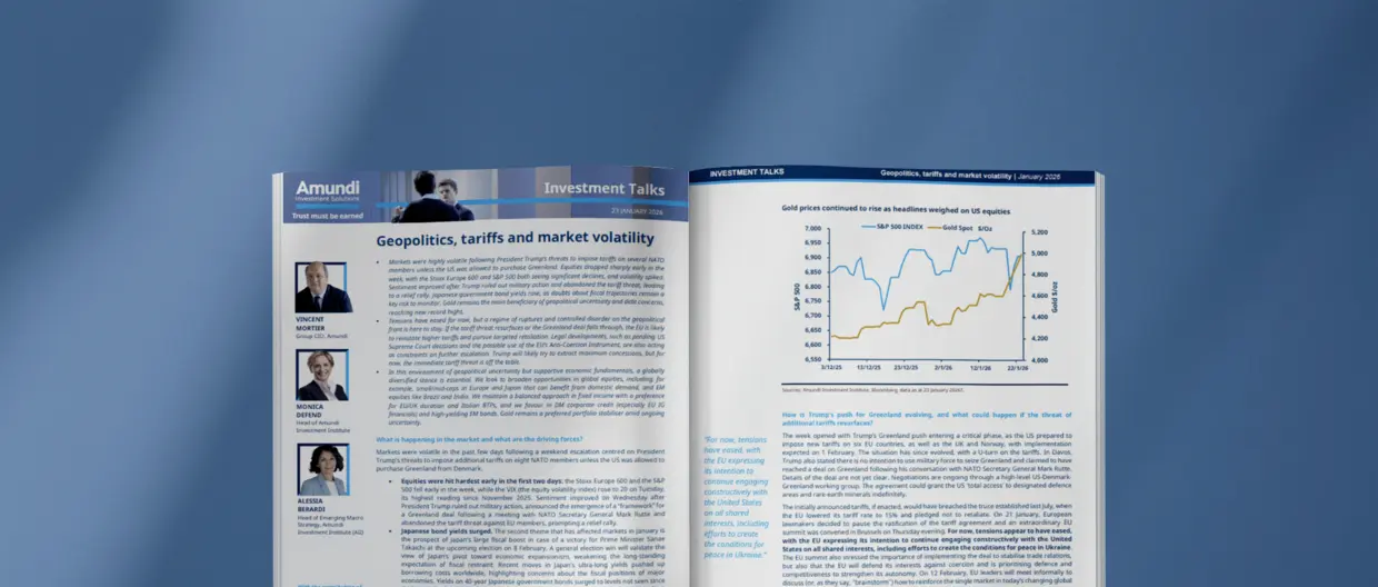 Preview of Investment Talks paper