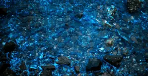 Blue light bioluminescence in the sea at night