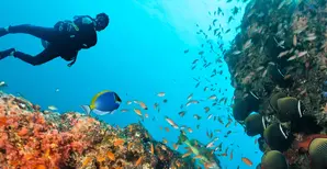man scuba diving