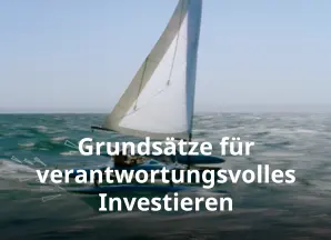 Grundsätze für verantwortungsvolles Investieren - DE Version