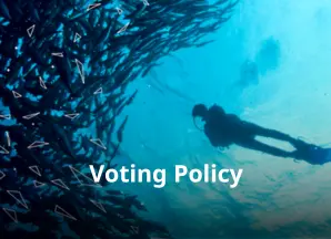 Teaser Voting Policy 