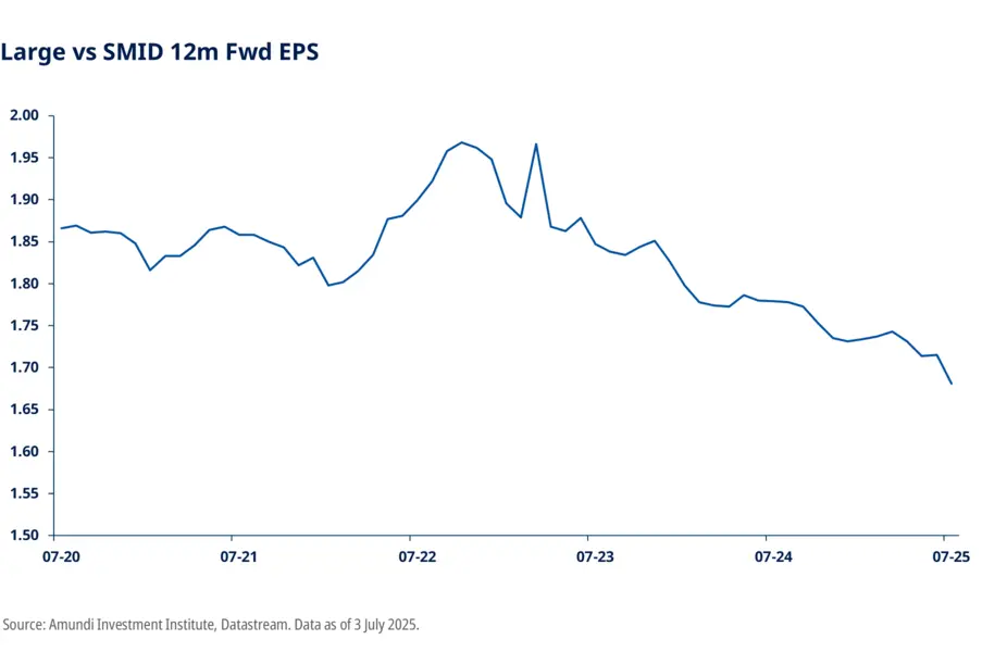 Large vs SMID 12m Fwd EPS