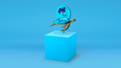 Fund icon Amundi Funds Asia Income ESG Bond sea turtle and map of Asia