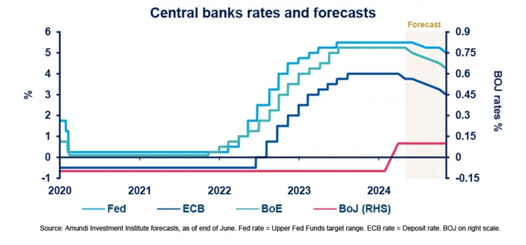 Central banks rates and forecasts