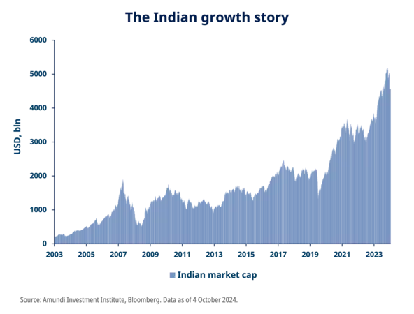 The Indian growth story