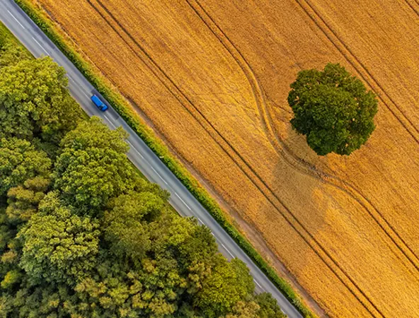 Halbjahresausblick 2025