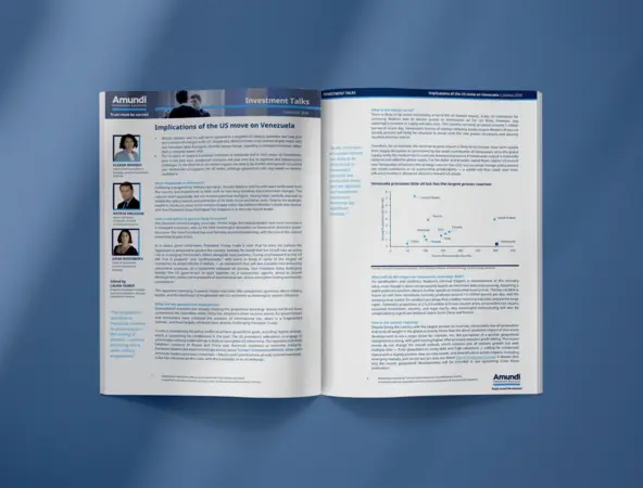 Preview of Investment Talks paper