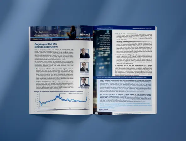 Preview of Global Investment Views paper