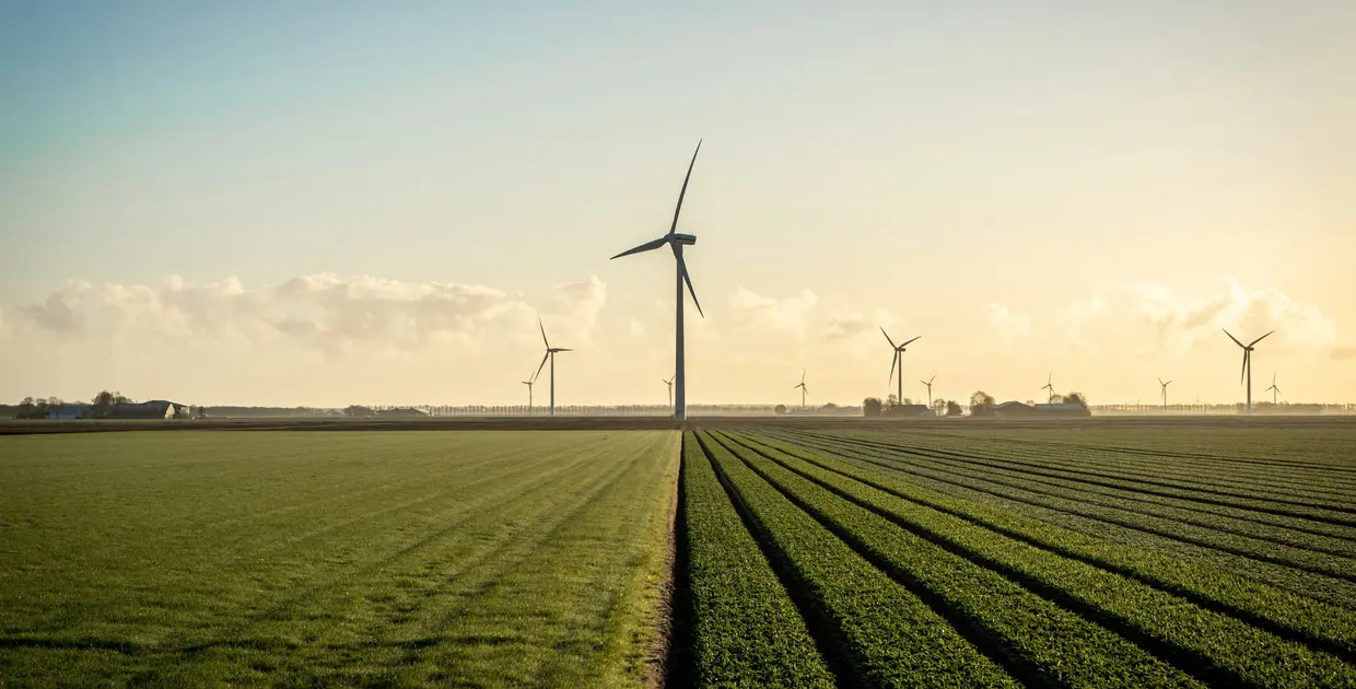 Champs de verdure avec des éoliennes, illustrant des investissements en énergie renouvelable.