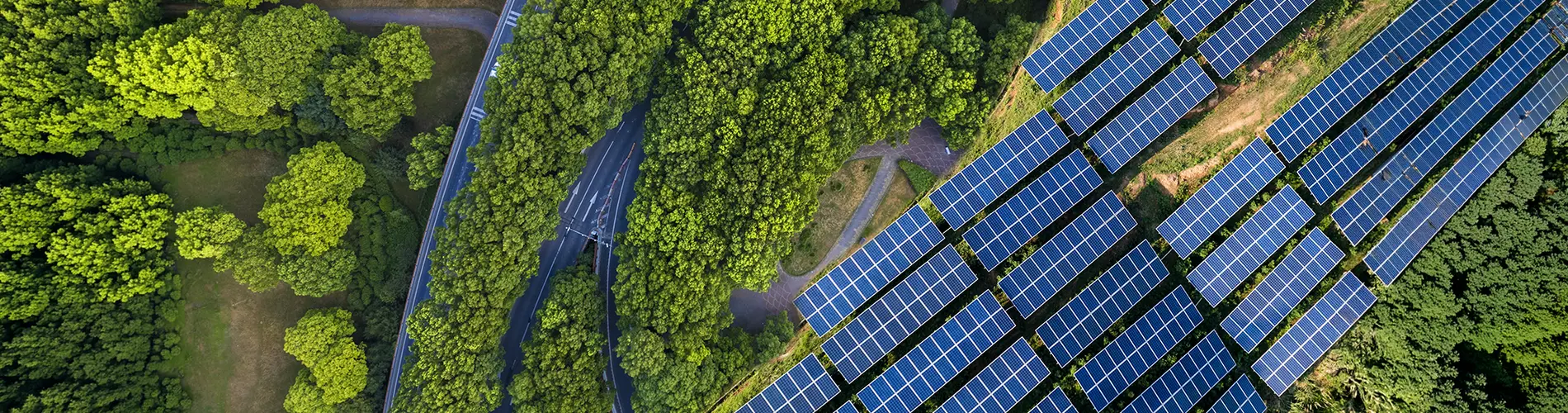 Panneaux solaires sur un terrain verdoyant, symbole d'investissement durable en gestion d'actifs.