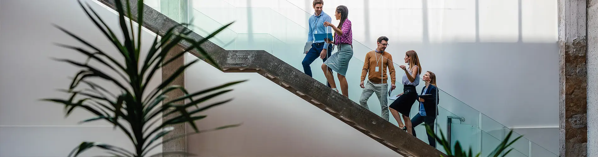 Groupe de personnes descendant un escalier dans les bureaux d'Amundi, ambiance dynamique.