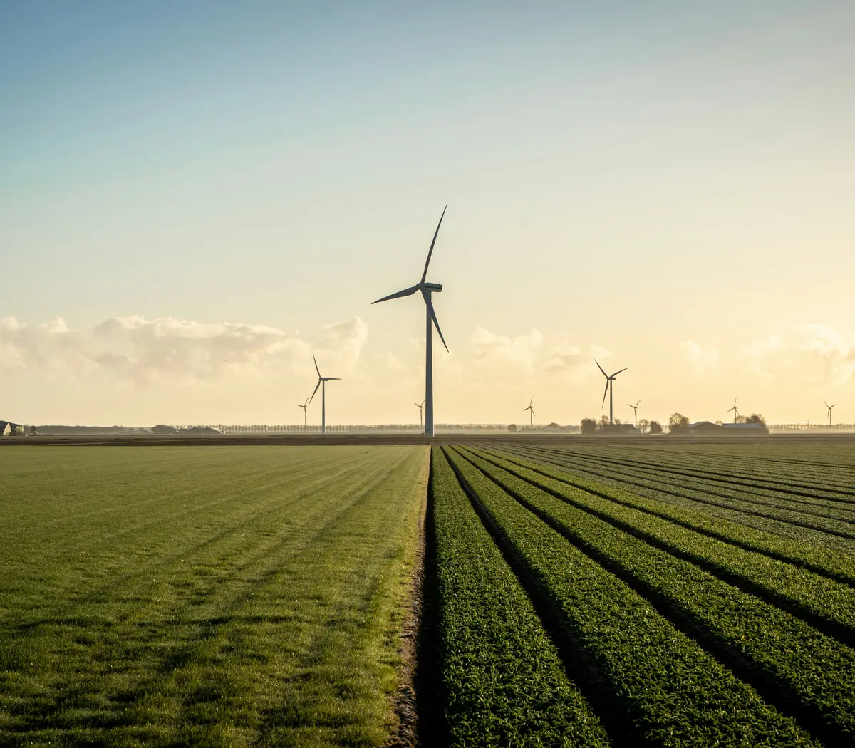 Champs de verdure avec des éoliennes, illustrant des investissements en énergie renouvelable.