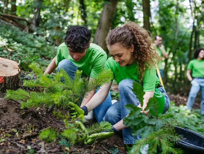 Personnes travaillant dans une forêt, avec des vêtements verts, créant un espace investi en nature.