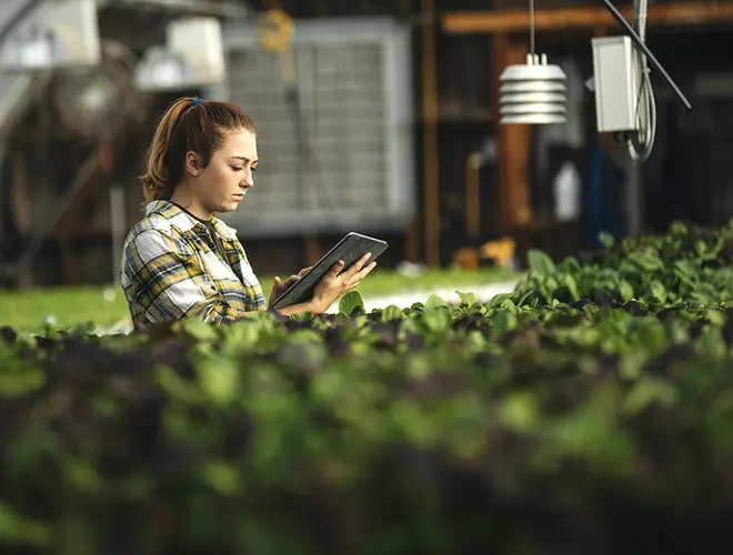 Femme experte en investissements, analysant des données au milieu d'une culture verte.