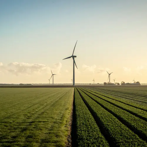 Champs de verdure avec des éoliennes, illustrant des investissements en énergie renouvelable.