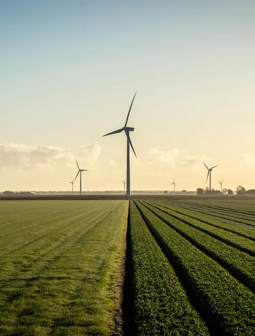 Champs de verdure avec des éoliennes, illustrant des investissements en énergie renouvelable.