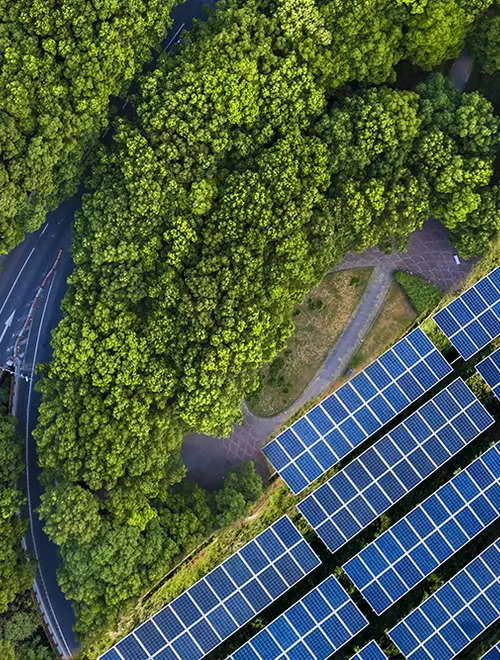 Panneaux solaires sur un terrain verdoyant, symbole d'investissement durable en gestion d'actifs.