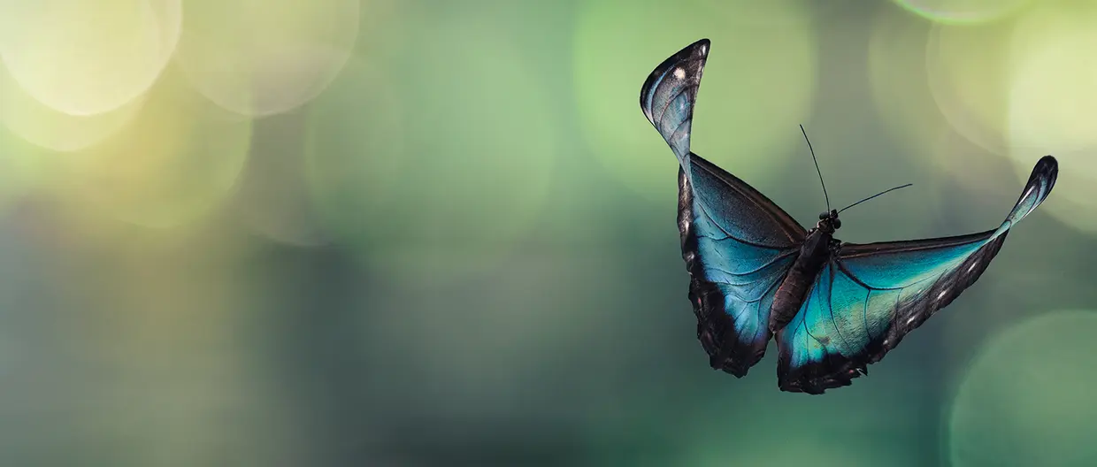 The next stage of ESG evolution in the pension landscape