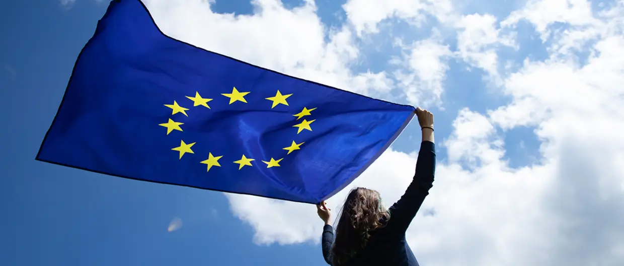 Elections européennes et politique française
