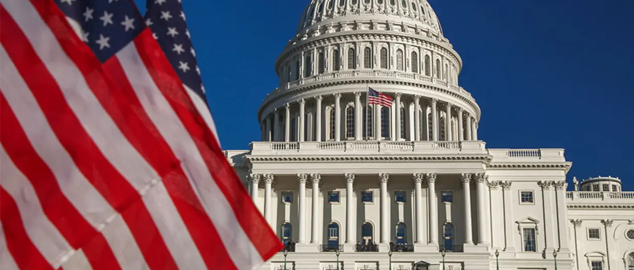 bandiere americane su sfondo palazzo