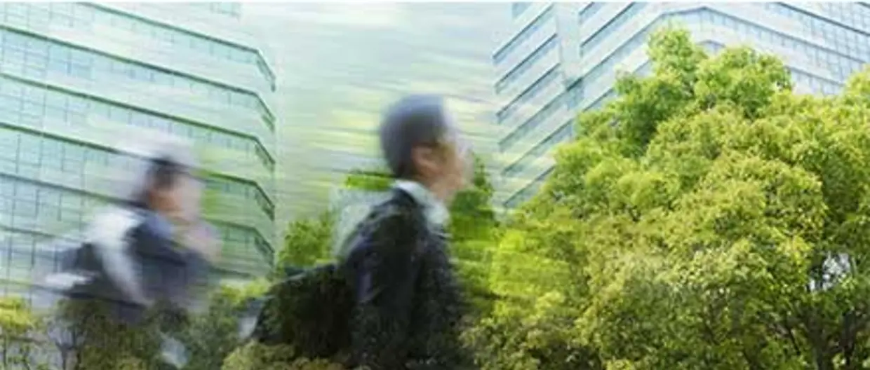 Blended Finance: scaling capital for sustainable impact