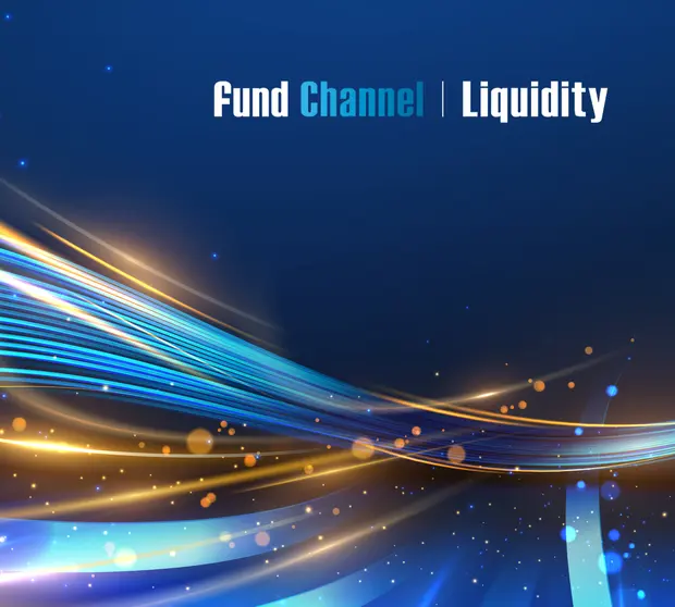 Fund channel liquidity for corporate treasuriers